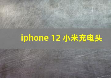 iphone 12 小米充电头